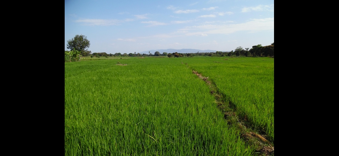 MAPPING FLOOD PROTECTION ZONES AND EVACUATION ROUTES TO IMPROVE RESPONSE CAPABILITIES IN LOCAL COMMUNITIES